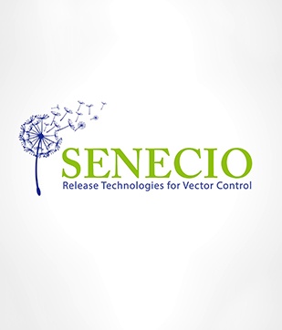 Senecio – Promotional and product film
