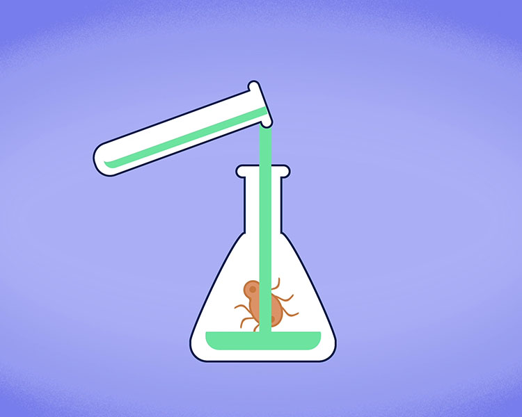 מבחנה שופכת נוזל לצנצנת מעבדה עם חיפושית מתוך סרט אנימציה הסברתי